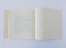 vsfg07